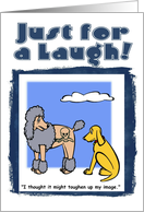 Poodle Tattoo card