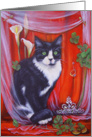 Wedding Invitation,The Wedding Cat card