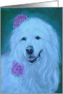 Great Pyrenese card