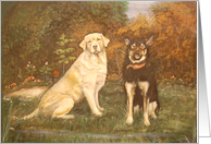 Yellow Labrador and German Shepherd card