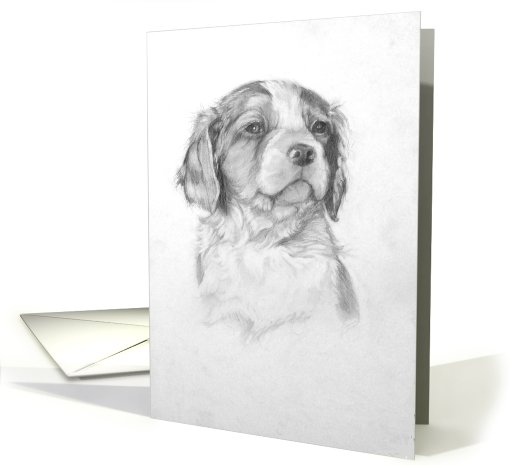 Brittany Spaniel Puppy card (638040)