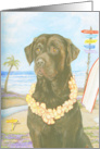 Chocolate Labrador Retriever card
