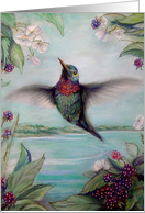 Birthday Hummingbird...