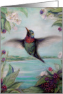 Birthday Hummingbird and berries card