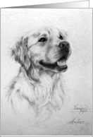 Golden Retriever in black & white card