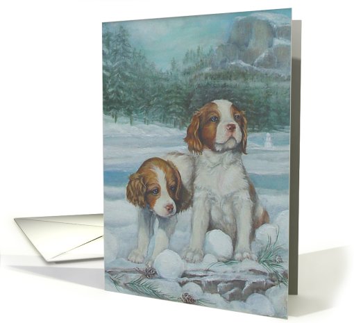 Brittany Spaniel Pups at Half Dome, Yosemite card (639139)