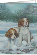 Brittany Spaniel Pups at Half Dome, Yosemite card