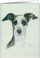 Italian Greyhound, blank note card