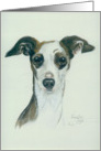 Italian Greyhound, blank note card