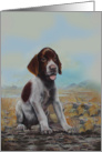 German Shorthaired Pointer Puppy in Landscape card