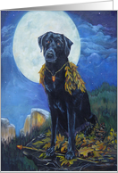 Black Labrador with Full Moon in Yosemite card