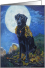 Black Labrador with Full Moon in Yosemite card
