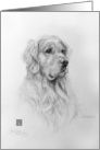 Golden Retriever Black and White Art card