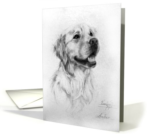 Golden Retriever Black and White Art , mouth open card (650585)