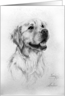 Golden Retriever Black and White Art , mouth open card