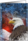 Troop Support Greeting Card - Bald Eagle Blank Note card