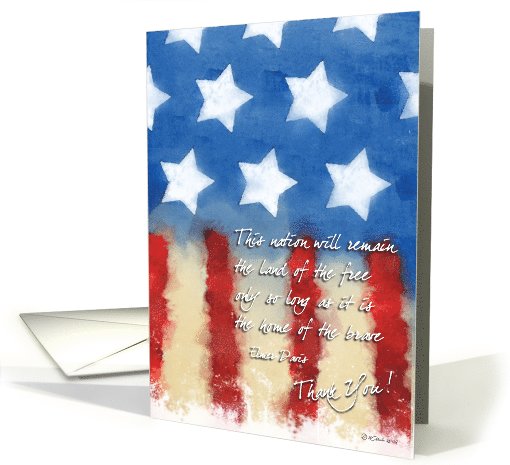 Painted Flag Troop Support - Land of the Free card (640594)