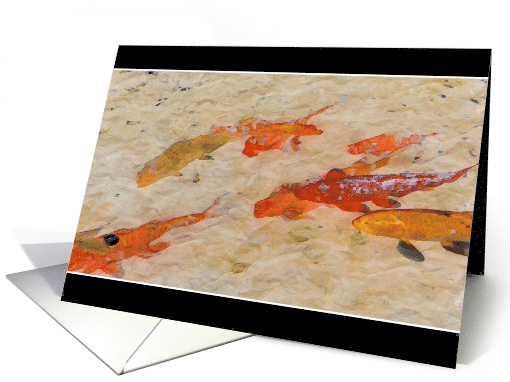 koi's in a Pond, orange & gold card (656698)