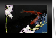 Follow Me, Koi in pond with Orchids card