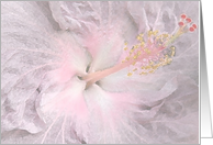 pink hibiscus card