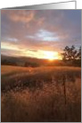 Backyard Sunset in Pleasanton CA card