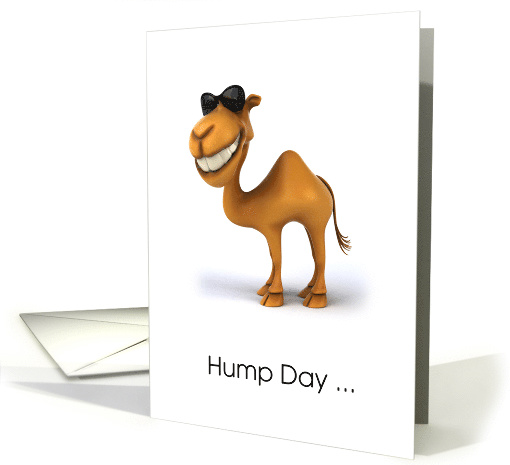 Cool Camel Hump Day card (1252996)