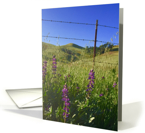 Wild Flowers in Country card (1370650)