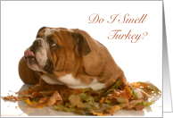 Thanksgiving, English Bulldog Laying in Leaves, Blank Inside card