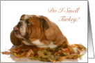 Thanksgiving, English Bulldog Laying in Leaves, Blank Inside card