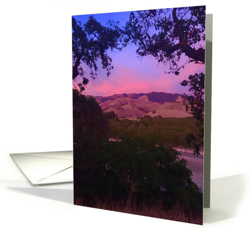 Backyard View card (1403442)