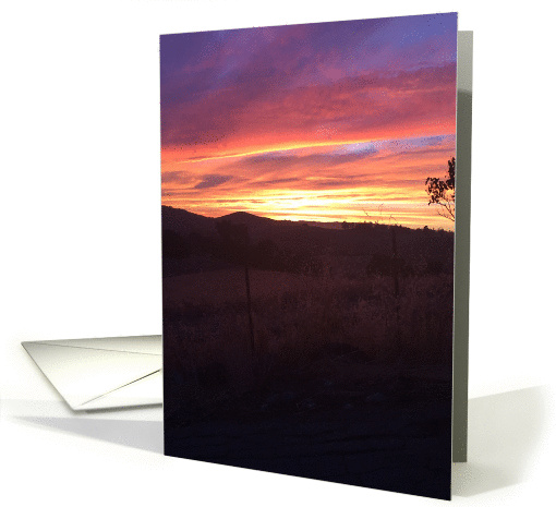 Backyard View card (1403444)