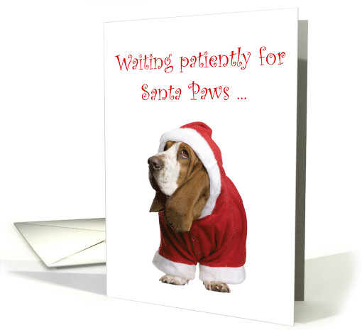 Basset Hound, Santa Paws, Christmas card (1406342)
