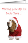 Basset Hound, Santa Paws, Christmas card