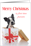 Merry Christmas First Time Parents, Boston Terrier Present card
