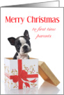 Merry Christmas First Time Parents, Boston Terrier Present card