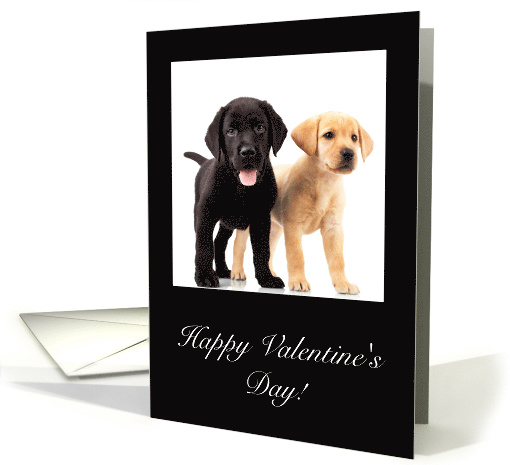 Labrador Puppies, Happy Valentine's Day card (1417142)