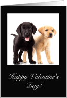 Labrador Puppies, Happy Valentine’s Day card