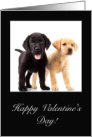 Labrador Puppies, Happy Valentine’s Day card