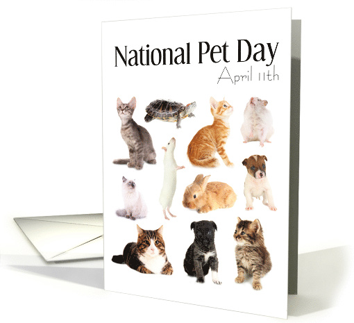 National Pet Day, April 11th, Furry Animal card (1429066)