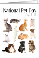 National Pet Day, April 11th, Furry Animal card