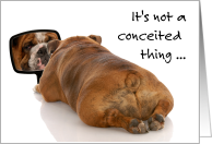 Conceited, April 21st, National Bulldogs are Beautiful Day card