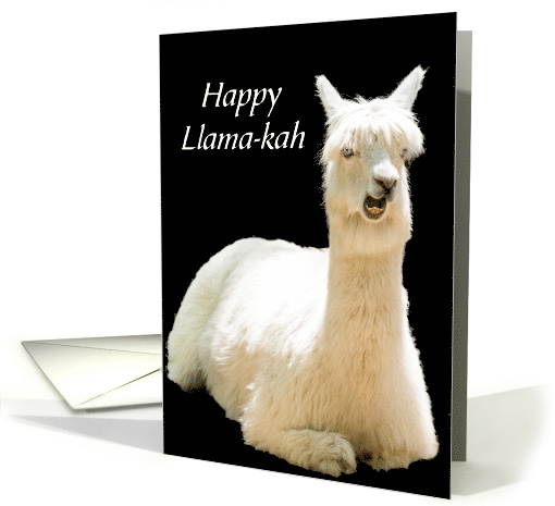 Funny Happy Llama-kah card (1497296)