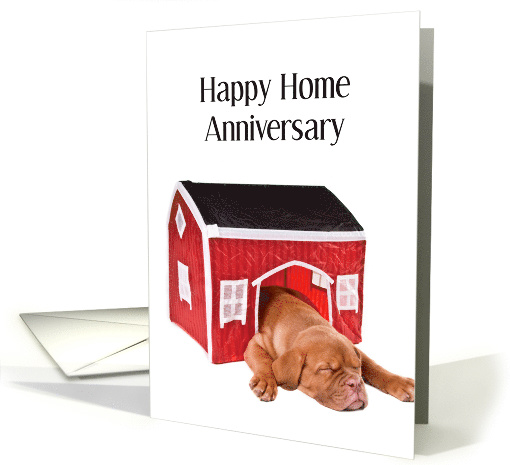 Happy Home Anniversary, Sleeping Puppy card (1571424)
