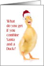 Duckling, in Santa Hat, Christmas Joke card