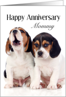 Anniversary card From Pet Beagles card