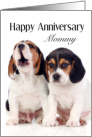 Anniversary card From Pet Beagles card