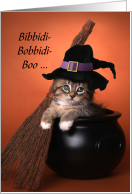 Bibbidi-Bobbidi-Boo...