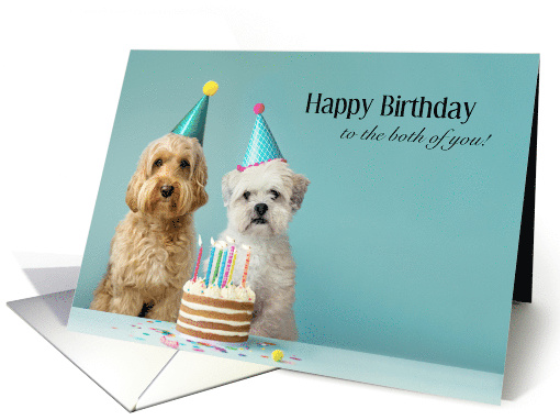 Fur-bulous Birthday for Both card (1835314)