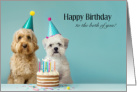 Fur-bulous Birthday for Both card