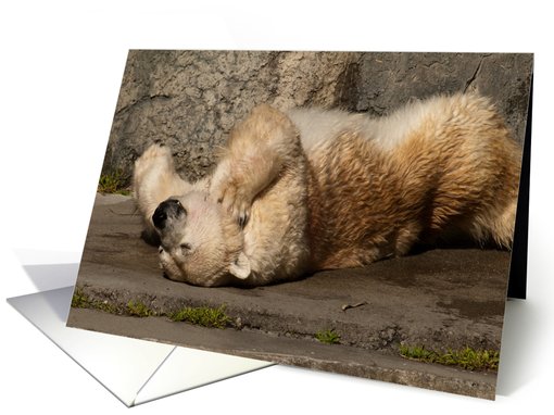 Polar Bear Retirement card (762293)